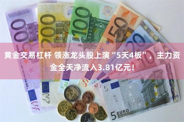 黄金交易杠杆 领涨龙头股上演“5天4板”，主力资金全天净流入3.81亿元！