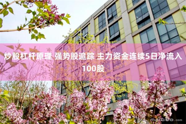 炒股杠杆原理 强势股追踪 主力资金连续5日净流入100股