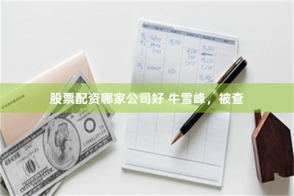 股票配资哪家公司好 牛雪峰，被查