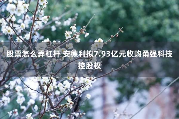 股票怎么弄杠杆 安德利拟7.93亿元收购甬强科技控股权