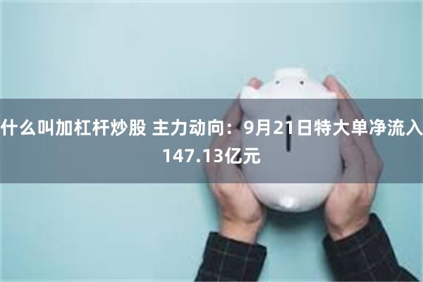 什么叫加杠杆炒股 主力动向：9月21日特大单净流入147.13亿元