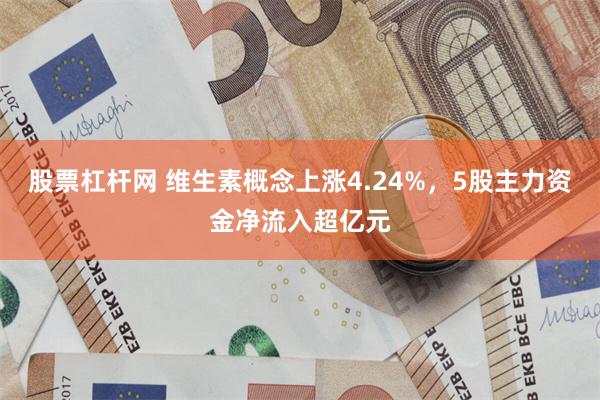 股票杠杆网 维生素概念上涨4.24%，5股主力资金净流入超亿元
