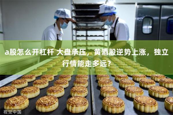 a股怎么开杠杆 大盘承压，黄酒股逆势上涨，独立行情能走多远？