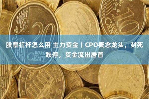 股票杠杆怎么用 主力资金丨CPO概念龙头，封死跌停，资金流出居首
