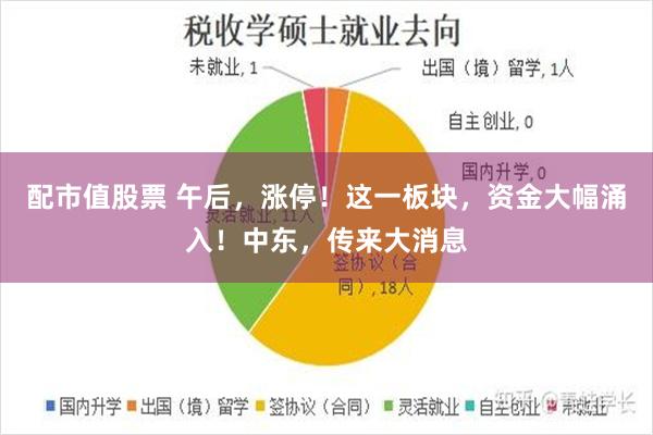 配市值股票 午后，涨停！这一板块，资金大幅涌入！中东，传来大消息